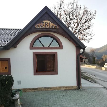 Tri bagrema KM Apartment Mokra Gora Bagian luar foto